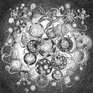 Long distance calling